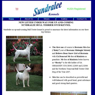 Website Design and Hosting using templates or custom designs to create the perfect website or webpage that suits your requirements - www.webiste-design-hosting.co.za - Website developers and creators