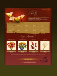 Website Design and Hosting using templates or custom designs to create the perfect website or webpage that suits your requirements - www.webiste-design-hosting.co.za - Website developers and creators