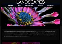 Website Design and Hosting using templates or custom designs to create the perfect website or webpage that suits your requirements - www.webiste-design-hosting.co.za - Website developers and creators