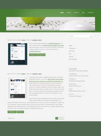 Website Design and Hosting using templates or custom designs to create the perfect website or webpage that suits your requirements - www.webiste-design-hosting.co.za - Website developers and creators