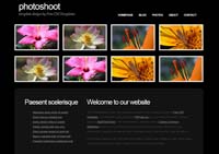 Website Design and Hosting using templates or custom designs to create the perfect website or webpage that suits your requirements - www.webiste-design-hosting.co.za - Website developers and creators