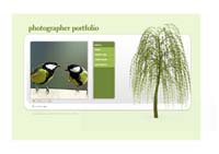 Website Design and Hosting using templates or custom designs to create the perfect website or webpage that suits your requirements - www.webiste-design-hosting.co.za - Website developers and creators