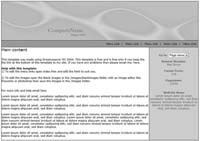 Website Design and Hosting using templates or custom designs to create the perfect website or webpage that suits your requirements - www.webiste-design-hosting.co.za - Website developers and creators